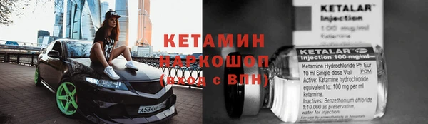 трава Бородино