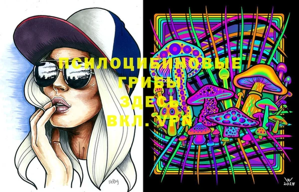 трава Бородино