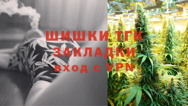 трава Бородино