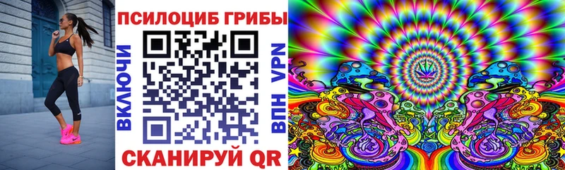 Купить закладки  Дно  Псилоцибиновые грибы GOLDEN TEACHER 